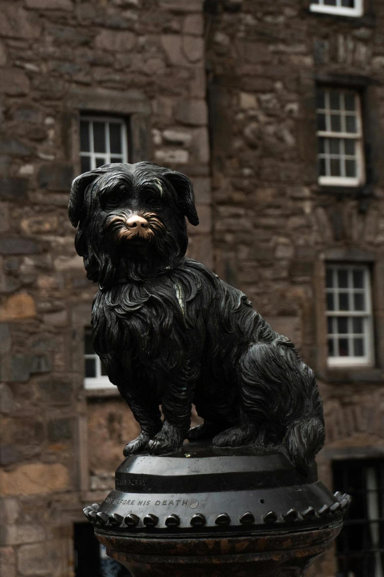 Greyfriars Appartement EDI
